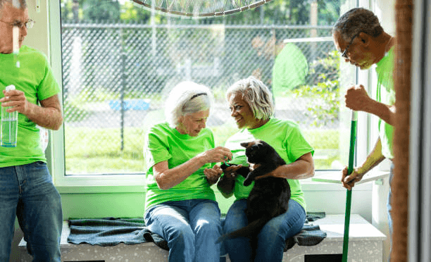 Paws and Paradise: Exploring Pet-Friendly Retirement Communities in Florida